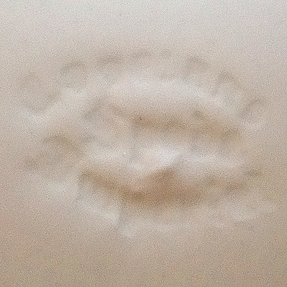 1949 Copeland Spode "" Fruit & Flowers" Hand Painted Porcelain by J. Price - Picture 7 of 10